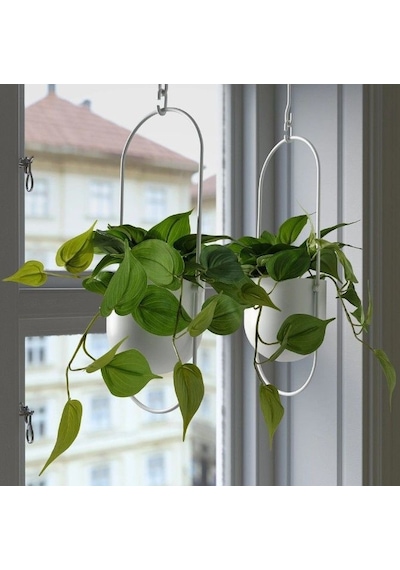 Ikea Fejka Saksılı Yapay Bitki 27 Cm Koyu Yeşil Siyah Siyah - Yeşil