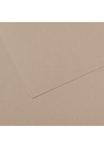 Canson Fon Kartonu Dokulu Mı-teıntes Sh Canmt 50x65 160 Gr Grey 122 Çok Renkli