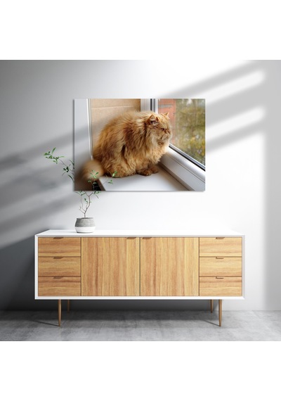 Cakasepetim Pencerede Şişman Kedi Ahşap Mdf Tablo