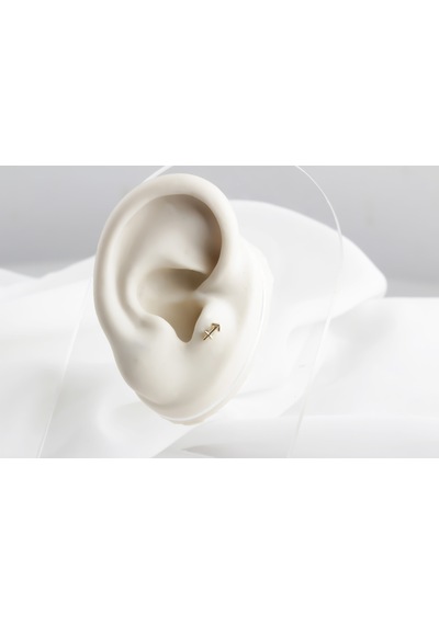 Glorria Altın Yay Burcu Tragus Piercing Çok Renkli