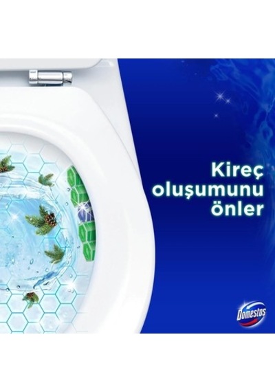 Yoğun Parfümlü Çam Ormanı İle Wc Blok Ürünü