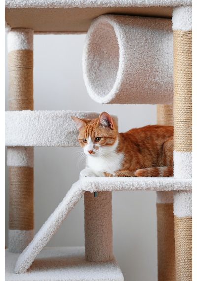 Kuara Bella Kedi Ağacı 3 Katlı Tırmalama Direği Yatak ve Oyuncaklı