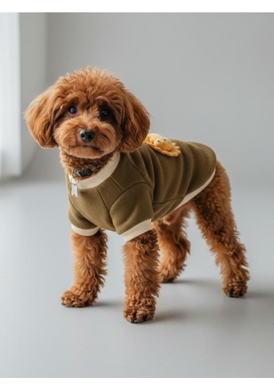 Minik Aslan Kedi Sweatshirt Haki Sıcak Tutan Yumuşak Kedi Kıyafeti