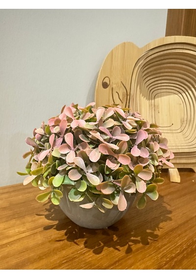 Modern Gri Saksıda Gerçekçi Yapay Dekoratif Bitki 17 X13 Cm Ev Ve Ofis Dekoru Çok Renkli