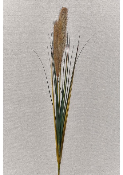 Pasabahce Grass 92 Cm Kahverengi - 1 Adet Kahve