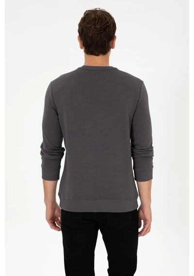 Us Polo Assn. U.s. Polo Assn. Erkek Regular Fit Bisiklet Yaka Gri Sweatshirt Vr024gri