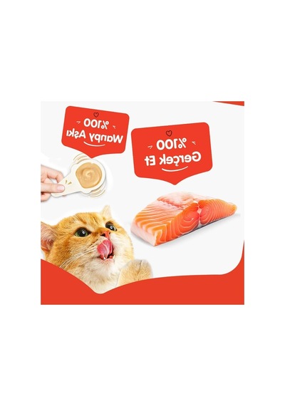Kaşıklı Kedi Ödül Kreması Somon Aromalı 10x16 G