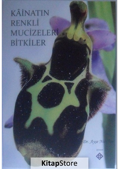 Kainatın Renkli Mucizeleri Bitkiler / Ayşe Nur Şen