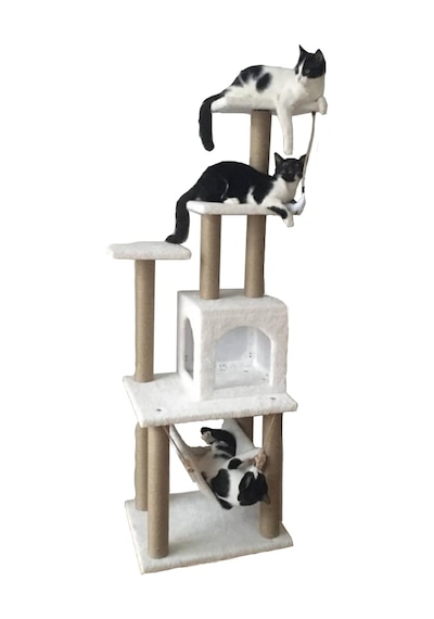 Pethomealpi Kedi Tırmalama Evi