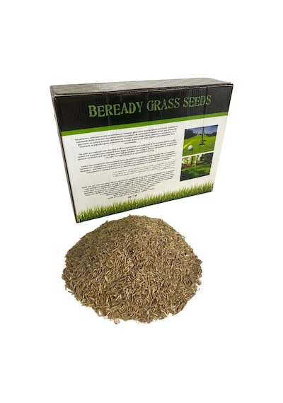 Beready 6 Karışımlı Çim Tohumu 1 Kg