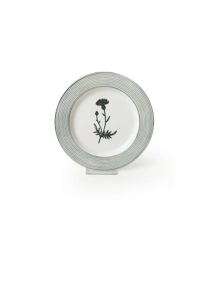 Keramika Floral Essence Assos Pasta Tabağı 22 Cm 4 Adet / 22890-93-94-22949 Çok Renkli