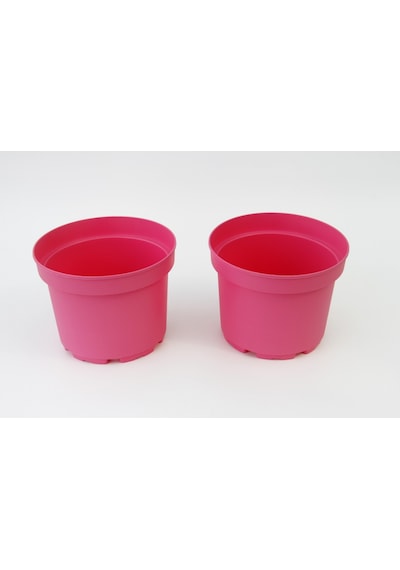 Pembe Saksı 20 Adet