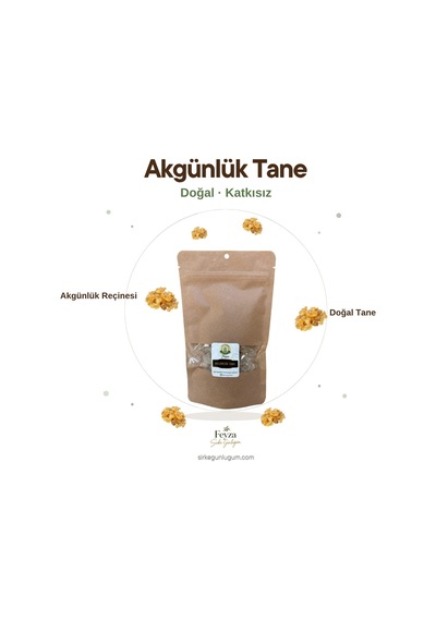 Sirke Günlüğüm Akgünlük Tane