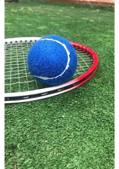 1 Adet Antrenman Tenis Topu Mavi, Tek Ebat, Wrkn01mv, Mavi