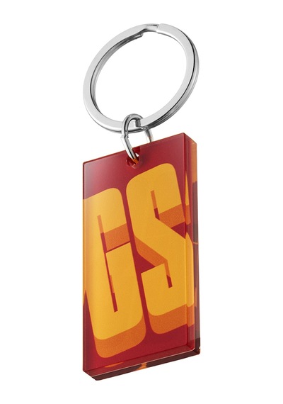 Galatasaray Anahtarlık U251583
