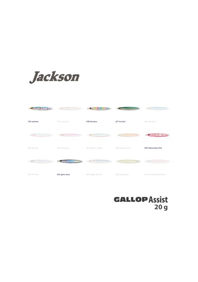 Jackson Gallop Assist 20Gr Jig Yem
