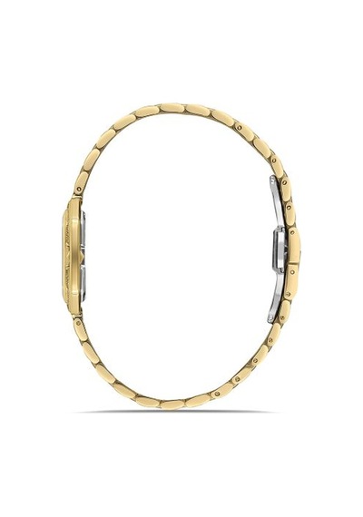 Ql170g-08sg Hislon Kol Saati 28 Mm / Gold Gri
