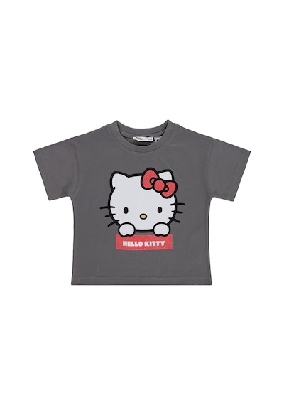 Hello Kitty 2-5 Yaş Tişört - Gri Çok Renkli