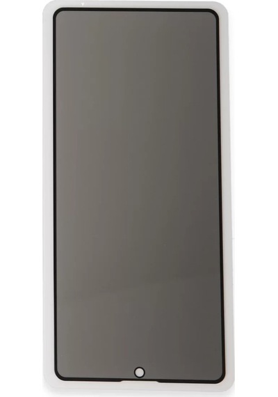 Newface Apple, Uyumlu iPhone 16 Pro 3d Antistatik Hayalet Cam Ekran Koruyucu