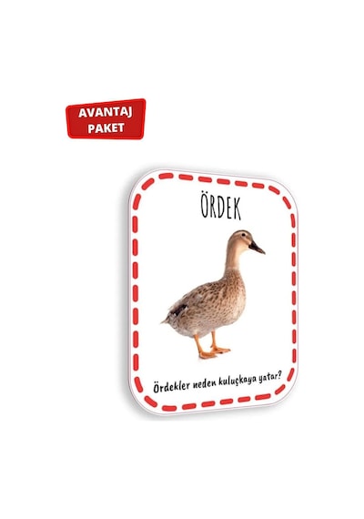 12-24 Ay Cırt Cırtlı Etkinlik Kitabı Ve Ilk Adım Zeka Kartı Hayvanlar
