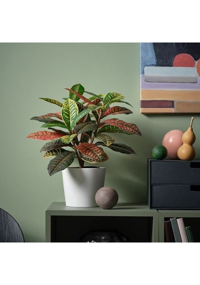 Ikea Fejka Yapay Bitki, Yeşil, 12 Cm, İç/dış Mekan Kroton