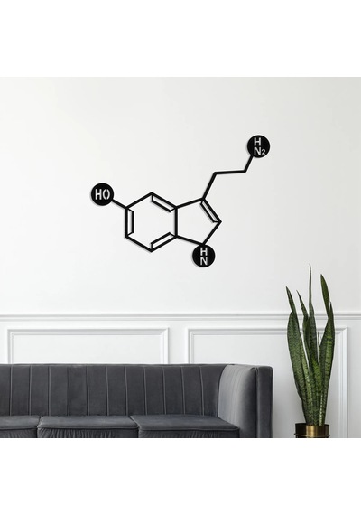 Serotonin Metal Tablo Siyah