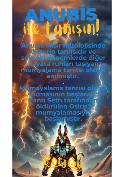 Petjoo 30.Anubis Sarı-Mavi Qr'lı Köpek Künyesi