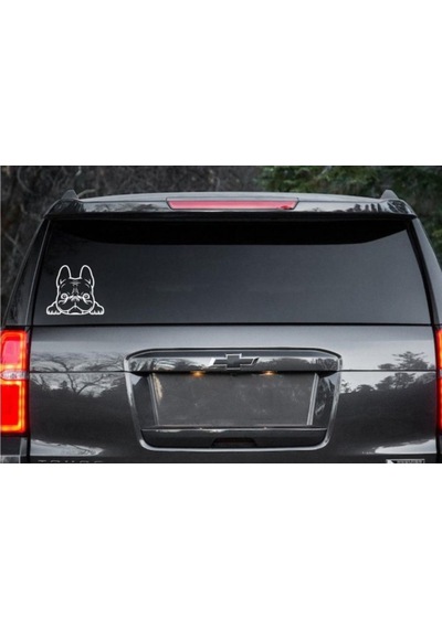 Bulldog 4 Köpek Araba Araç Depo Sticker Yapıştırma