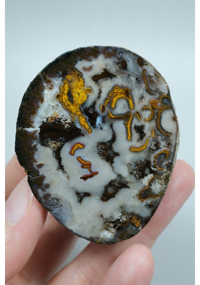 Plume Black Sea Agate Beyaz, Derin Kahverengi Ve Altın Turuncu Agate