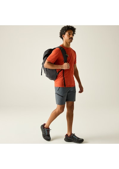 Regatta X-ert Stretch Erkek Şort-füme