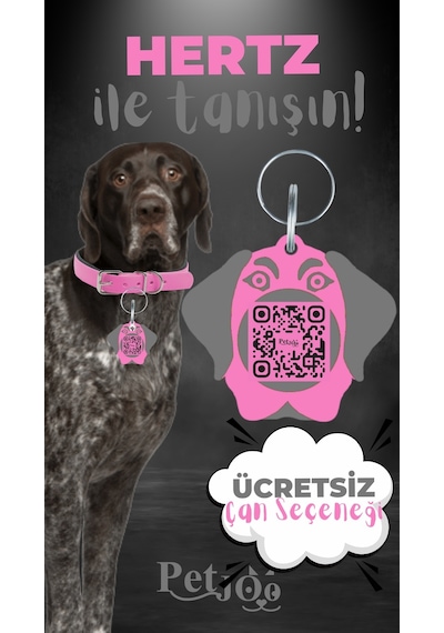 Petjoo 26.Hertz Gri-Pembe Qr'lı Köpek Künyesi
