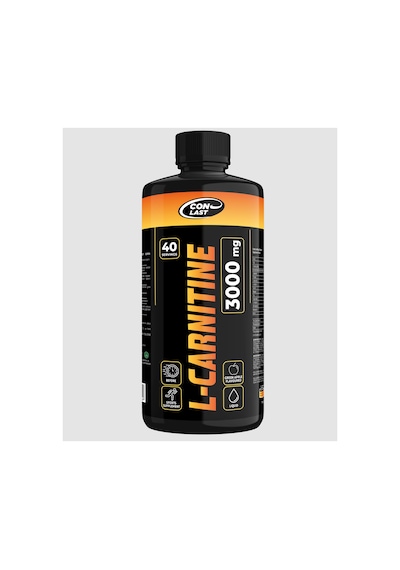 Çikolata Aromalı 2000g Whey Protein L Carnetin Kurabiye