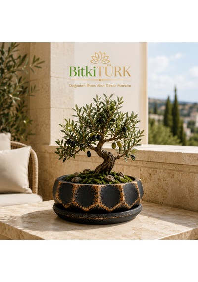 Dekoratif Beton Saksı Ve Altlık Seti 20 Cm El Yapımı Bonsai Saksısı Sukulent Saksısı İç Mekan Çiçek Saksısı 1