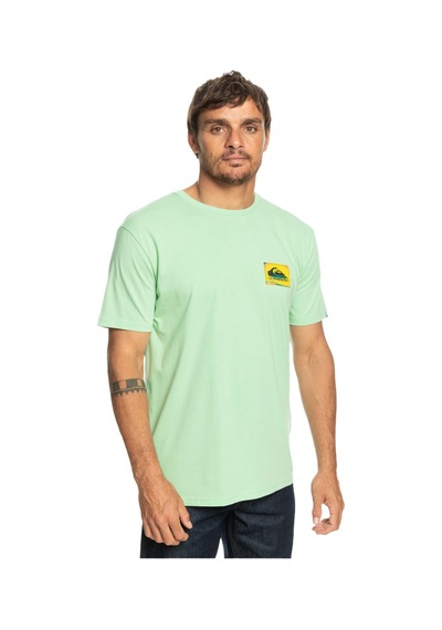 Quiksilver Eqyzt07229 Colourflow M Tees Erkek Tişört 001 Yeşil