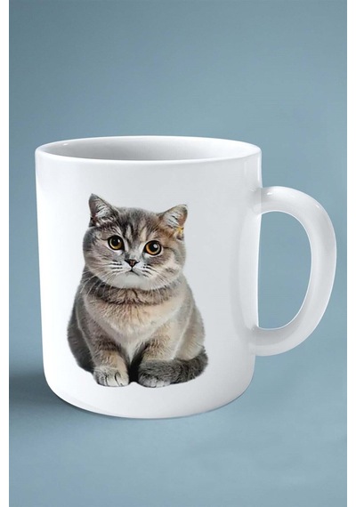 Foldex Kedisi Kedi İsimli Kişiye Özel Baskılı Kupa Bardak Model 7 Çok Renkli
