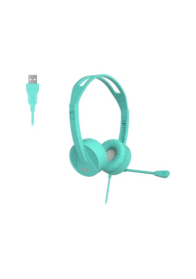 Lecoo HT106 USB Kablolu Mikrofonlu Kulak Üstü Kulaklık