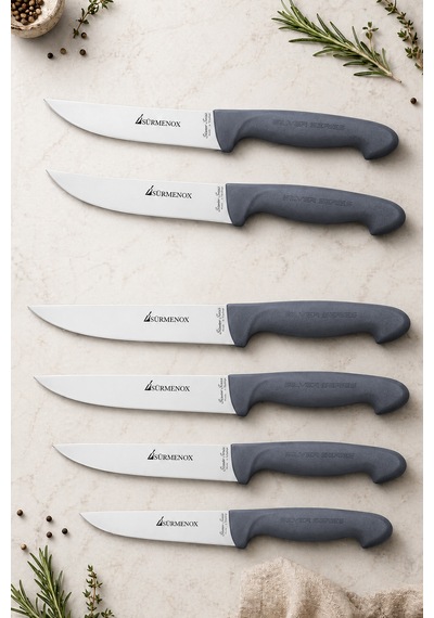 Sürmene Silver Serisi 6 Lı Mutfak Bıçak Seti Gri Sap Et Ekmek Sebze Meyve Kesme Bıçağı Srm-011