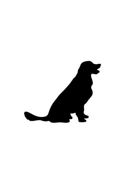 Golden Köpek Sticker Yapıştırma Etiket 17Cm