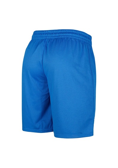 Puma Turkey Practice Short Erkek Türkiye Basketbol Şortu 60547201 Mavi 60547201 Mavi