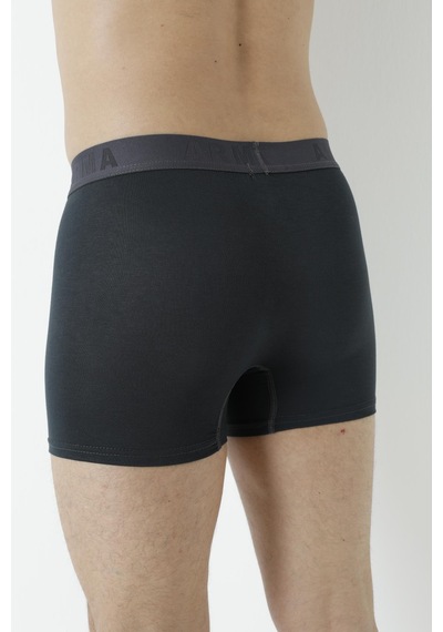 Arma Yıldız Erkek Füme Bambu Boxer 3'lü Paket-füme Füme