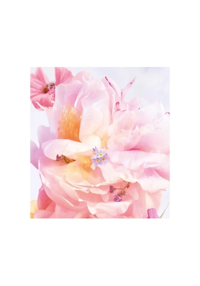 Dior Miss Dior Blooming Bouquet Edt 75 Ml Kadın Parfümü Çiçeksi