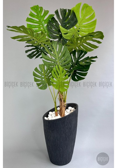 Yapay Monstera Ağacı Deve Tabani 190 Cm Antresi T Datça Saksıda Antresit