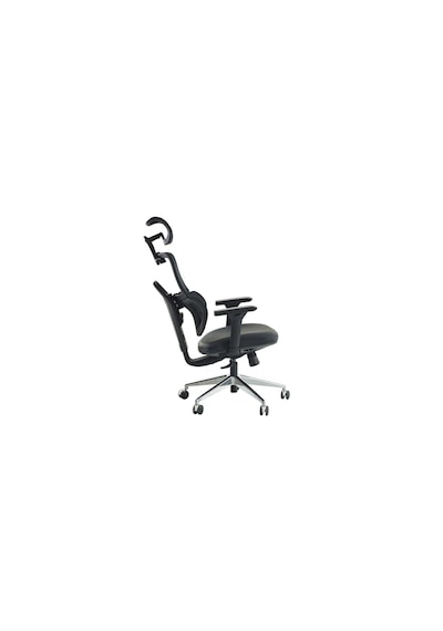 Venice Profesyonel Premium Yönetici Koltuğu Ergonomik