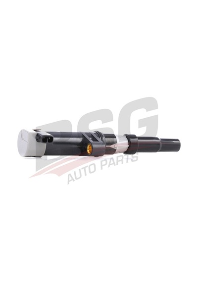 Bsg Atesleme Bobını Kalem Bobın 16v - Megane/kango/laguna/clıo Iı 98-