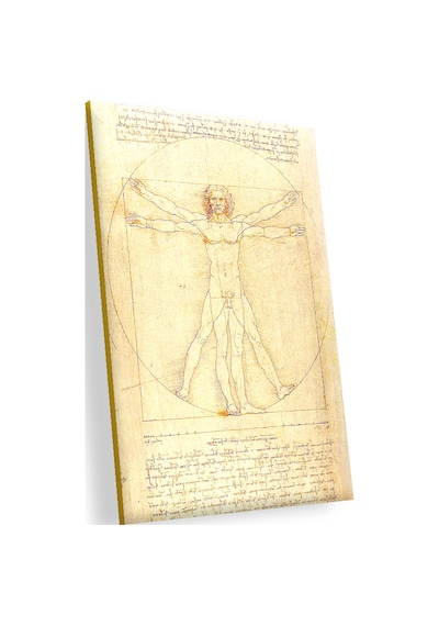Cakasepetim Leonardo Da Vinci İnsan Anatomisi Görseli Ahşap Mdf Tablo