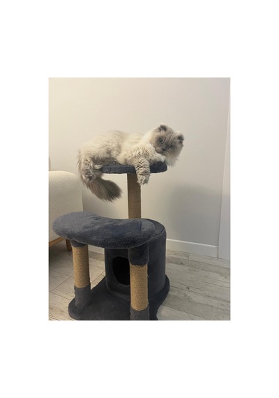 Konforlu Kedi Dinlenme Alanlı- Kedi Evi-kedi Oyun Parkı-kedi Tırmalama 75 Cm