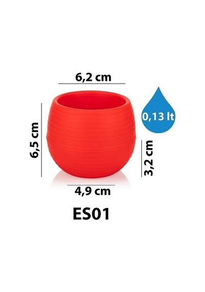 Serinova Elvan Kaktüs Saksısı 0.13 Lt 40581268