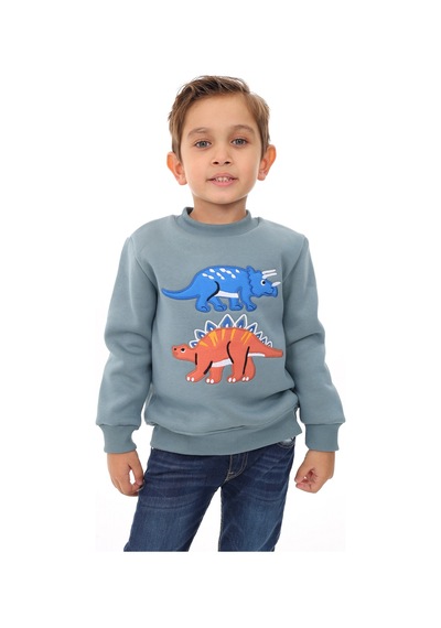 Toontoy Kids Toontoy Erkek Çocuk Relax Fit Bisiklet Yaka Baskılı Sweatshirt - 2iplik Mint