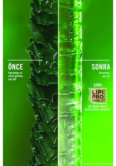 Ogx Rosemary Mint Arındırıcı Bakım Kremi 385 Ml X2 Adet
