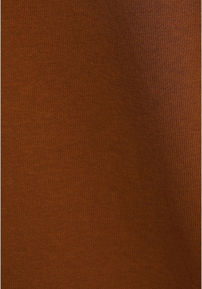 Colin's Colins Relaxed Fit Kapüşonlu Düz Erkek Kahverengi Sweatshirt Cl1082263 Q1.v2 Dcm Dark Camel